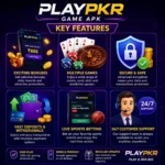 Playpkr Game