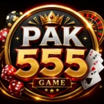 PAK 555 GAME logo